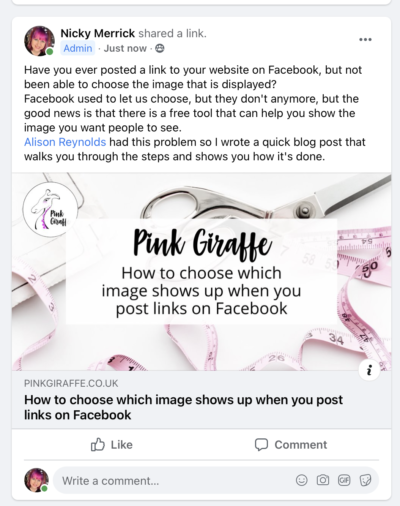 Screenshot of the correct image being displayed in a Facebook post.